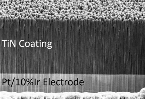 What is the titanium nitride coating on stainless steel?